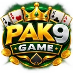 PAK9 GAME